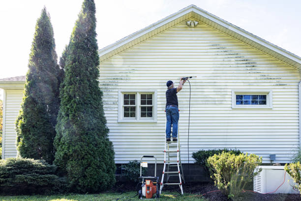 Best Paint Preparation  in West Salem, OH